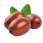 Jojoba